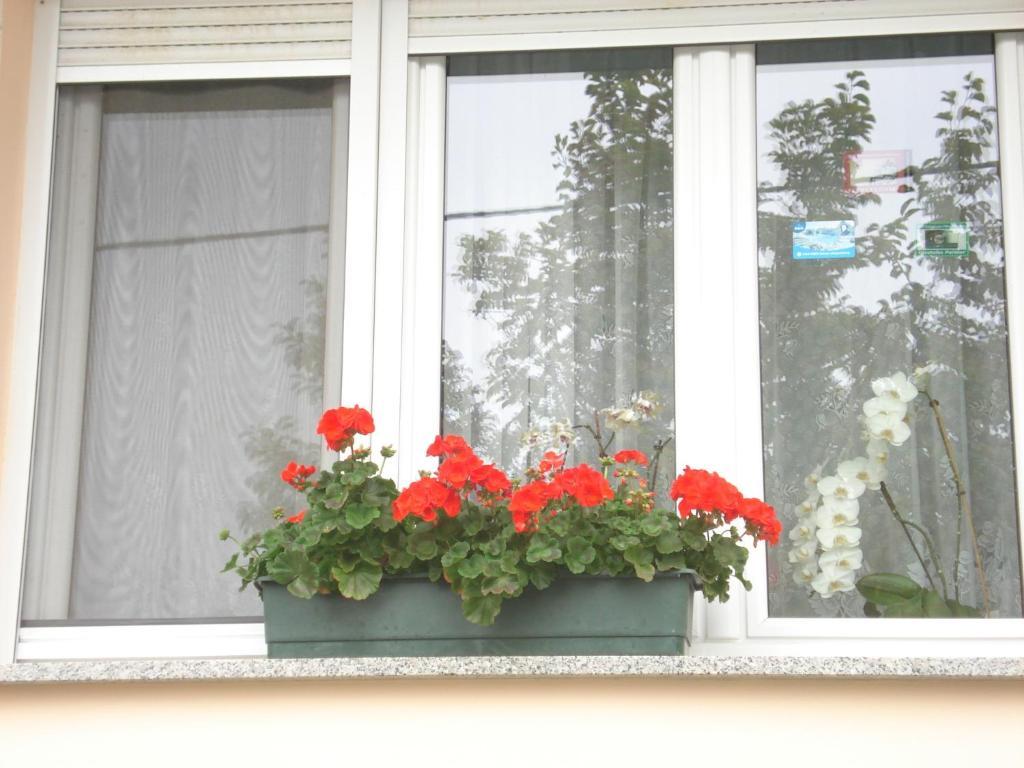 Hotel Nemeth Vendeghaz Bük Zewnętrze zdjęcie